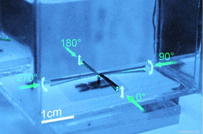 Soft Hydrogel Oscillator Drives Phototactic Swimming Robot