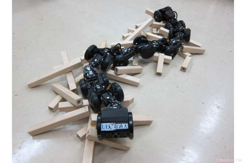 Advanced Control Techniques for Highly Mobile, Dexterous Snake‑Like Robots