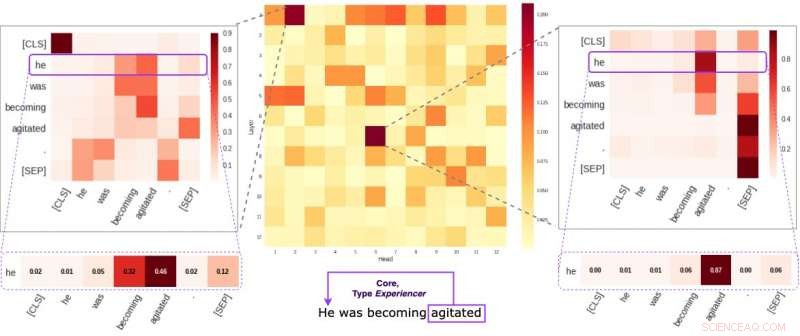Unveiling the Self‑Attention Dynamics in BERT‑Based Models