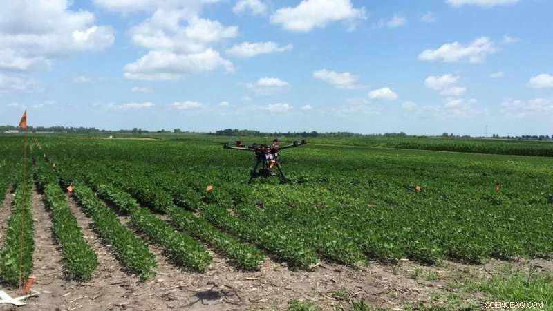 AI Detects Soybean Stress Early: The Future of Precision Farming