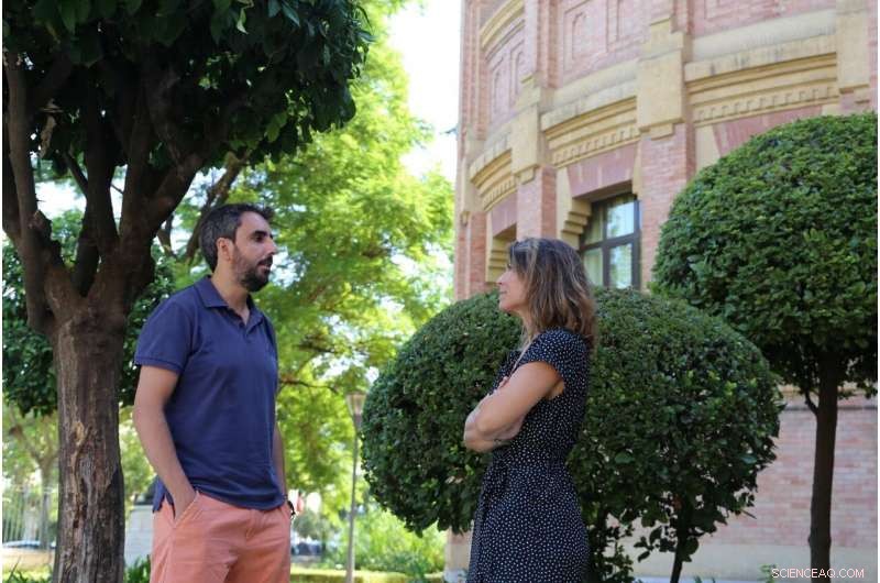 Synergistic Algae-Bacteria System Boosts Hydrogen Production