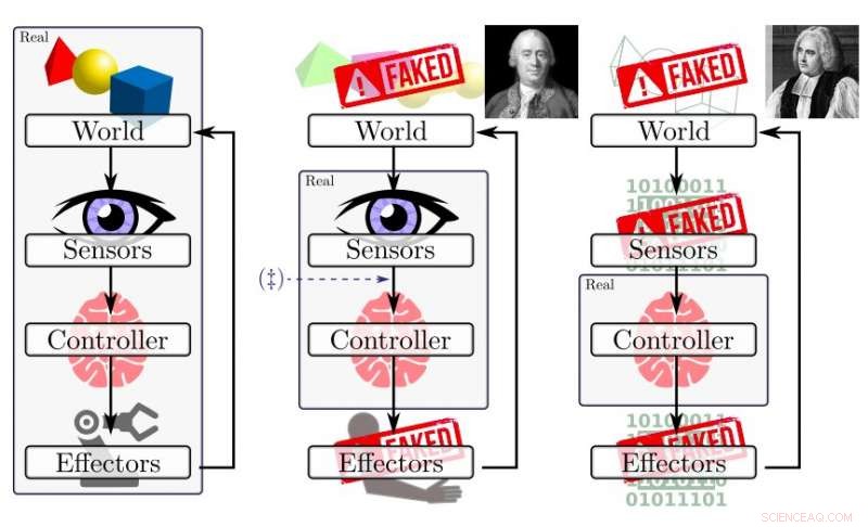 Unveiling Robot Illusions: Real Experiments vs. Simulated Reality