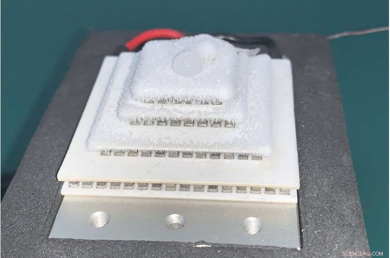 Huawei Thrives Amid U.S. Ban, Strengthening Its Global Tech Leadership