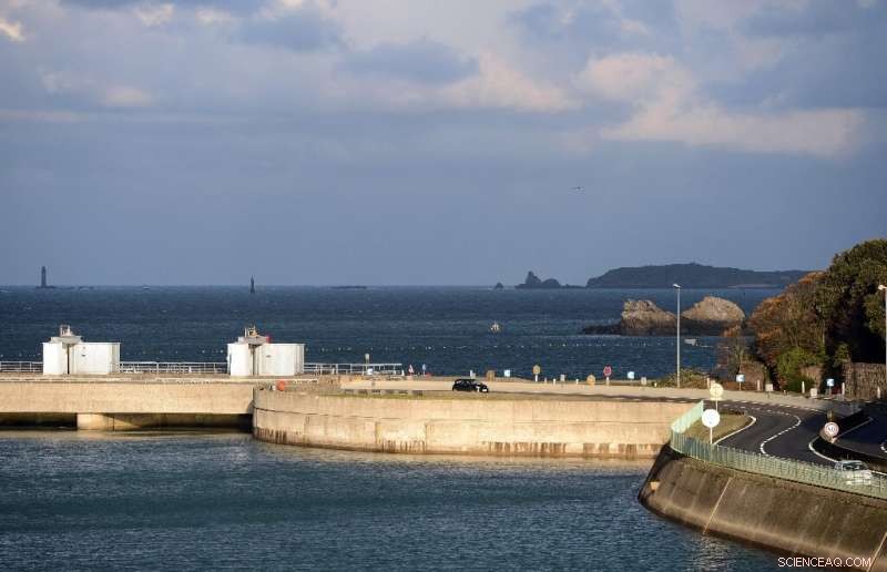 Ocean Power: The Untapped Potential of Tidal Energy