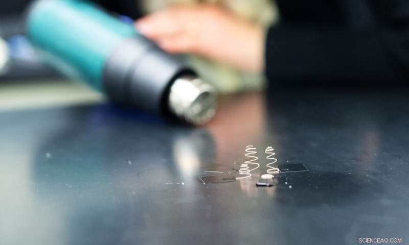 Scientists Engineer Living 3‑D Displays with Smart Materials