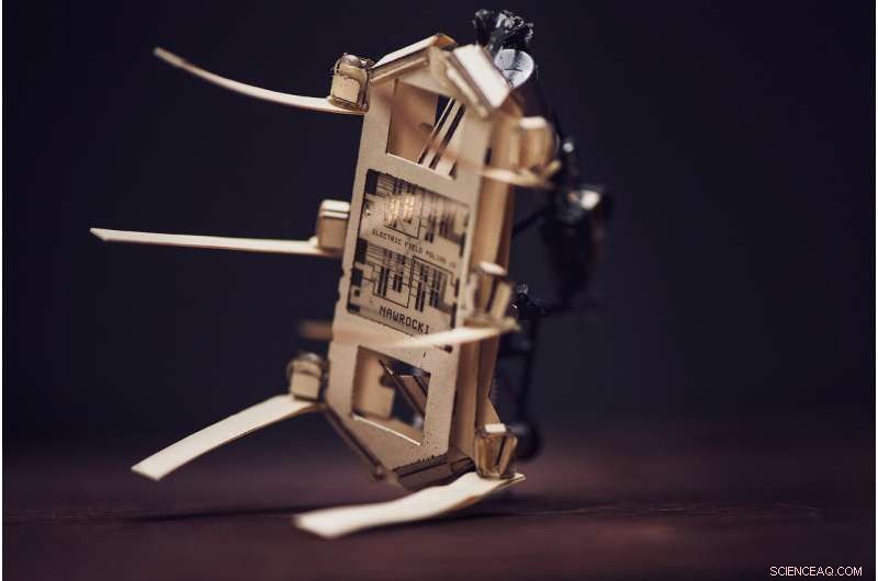 Keep Your Cows Happy: AI & Robotics Offer a Solution