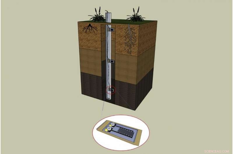 UConn Engineers Develop Affordable, High-Performance Soil Moisture Sensor for Sustainable Agriculture