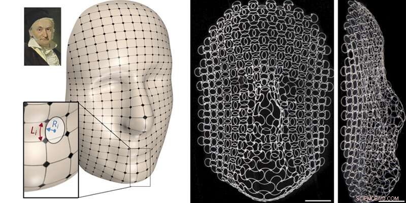 Flat 3D-Printed Lattice Transforms into Human Face with Temperature Change