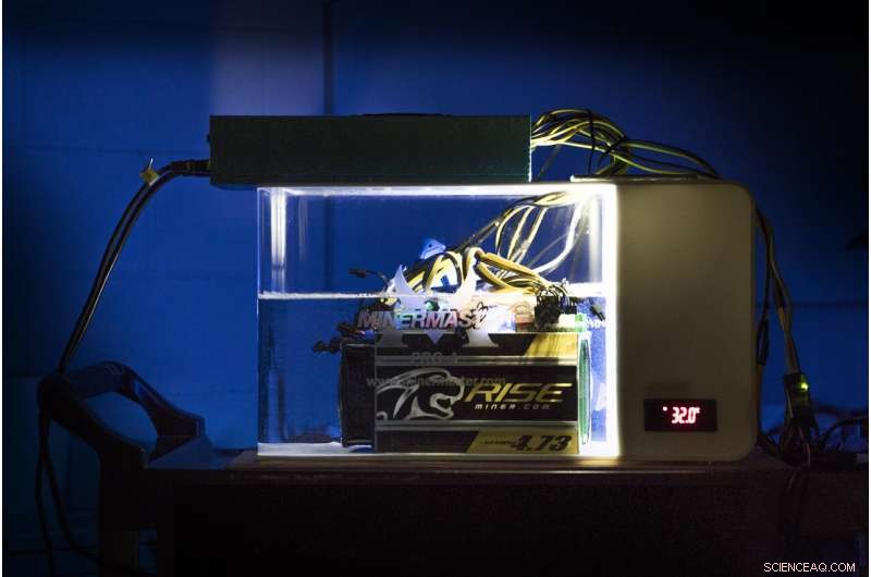 Iceland’s Cryptocurrency Landscape: Blockchain Innovations & Auroracoin