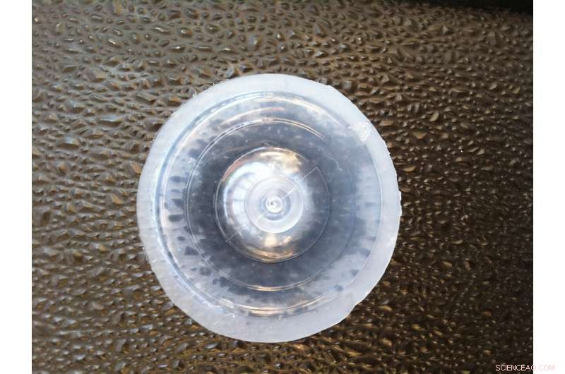 Scientists Create Advanced Suction Cup Inspired by Northern Clingfish