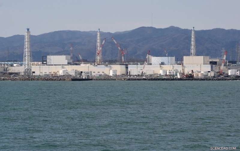 Fukushima Plant Faces Millennial Ton of Radioactive Water: The Challenge Ahead