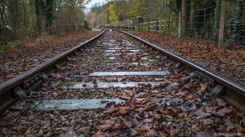 Dry Ice: A Game-Changing Solution to Reduce Autumn Leaf Delays