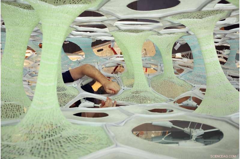 Ada: Microsoft’s AI-Driven Installation Transforms Data into Light at Redmond Campus