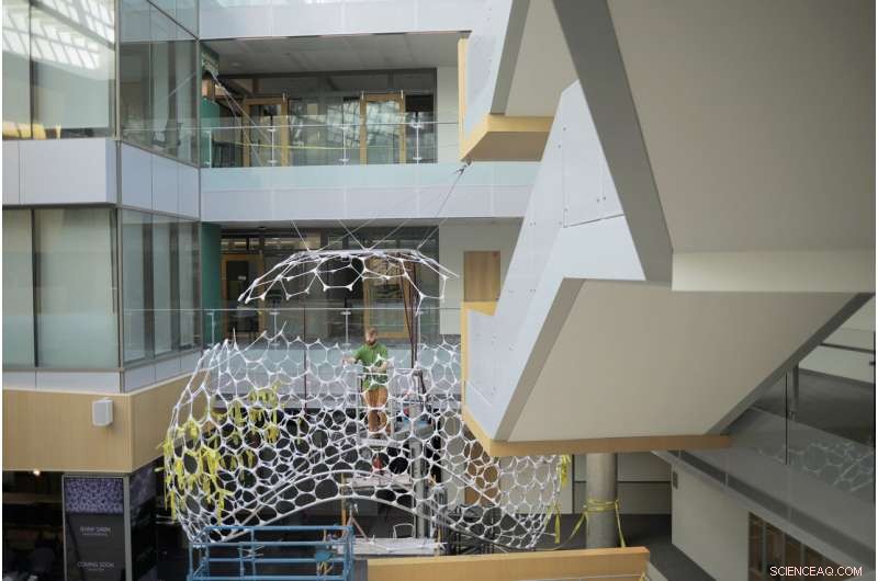 Ada: Microsoft’s AI-Driven Installation Transforms Data into Light at Redmond Campus