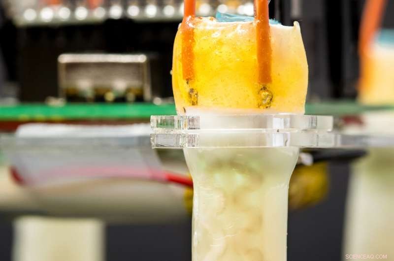 Innovative Soft Actuators Promise Sleeker, More Efficient Soft Robots