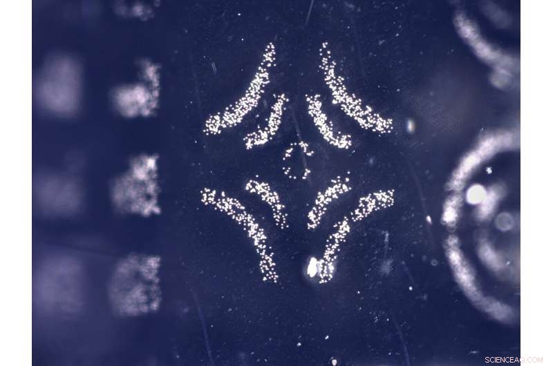 Revolutionary Electroadhesive Stamp Enables Precise Placement of Microscopic Structures