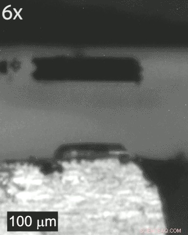 Revolutionary Electroadhesive Stamp Enables Precise Placement of Microscopic Structures