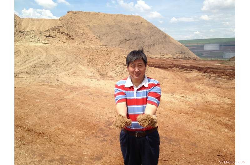 Boosting Biomass Energy Efficiency: The Impact of Preprocessing Techniques