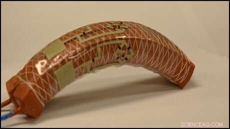 Scientists Build Soft Robot with Neurologically Integrated Tactile Skin