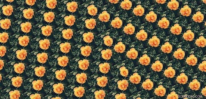 Reducing Human Interaction Accelerates Machine Learning Performance