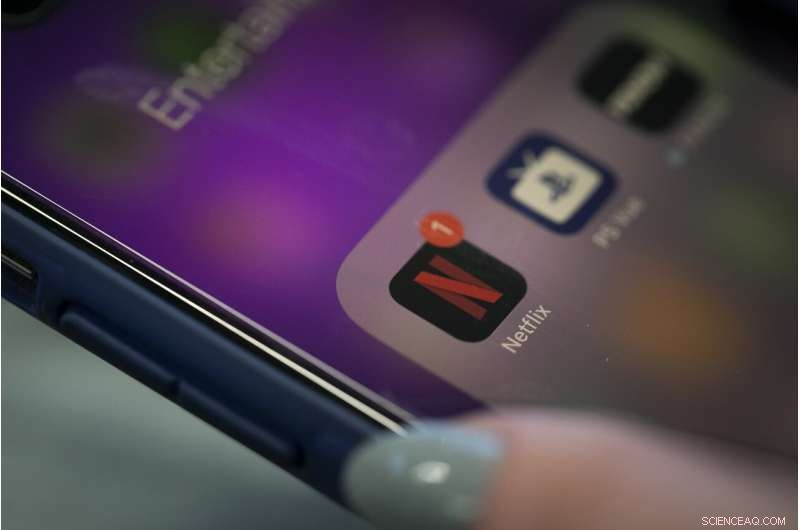 Netflix s U.S. Subscriber Growth Slows Amid Rising Competition