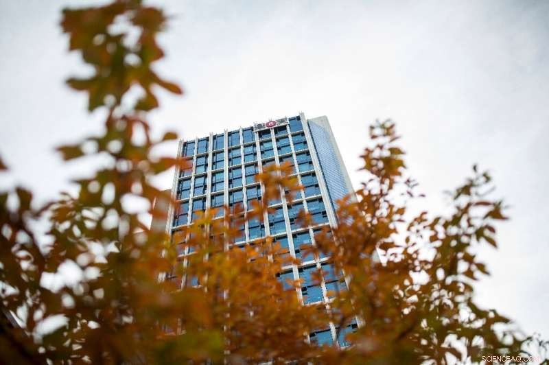 Streaming Rivals Eye Ad‑Supported Models to Challenge Netflix