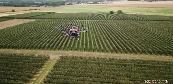 Boosting Orchard Yields: How Drones & AI Forecast Fruit Harvests