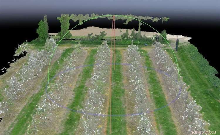 Boosting Orchard Yields: How Drones & AI Forecast Fruit Harvests
