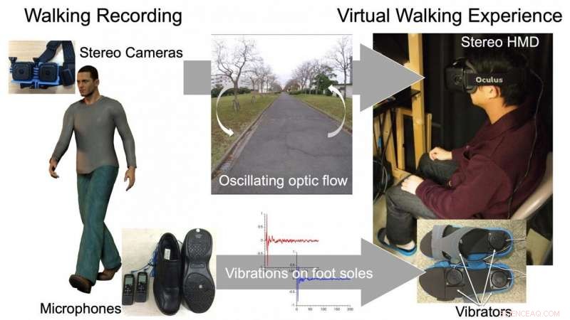 Virtual Walking System Enables Immersive Re‑experiencing of Others  Journeys