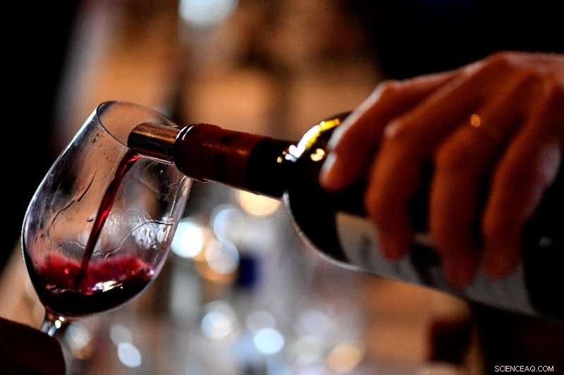 U.S. Imposes Record Tariffs on EU Goods, Targeting Airbus, Wine, and Whisky