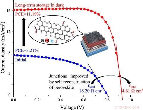 Improving Perovskite Solar Cell Reproducibility with Modified Carbon Nanotubes