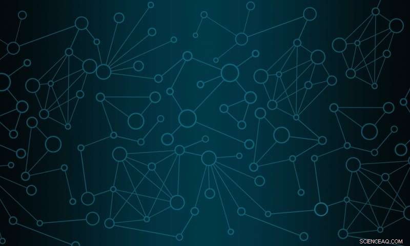 Refining Scale-Free Networks: Enhanced Insights into Complex Connectivity