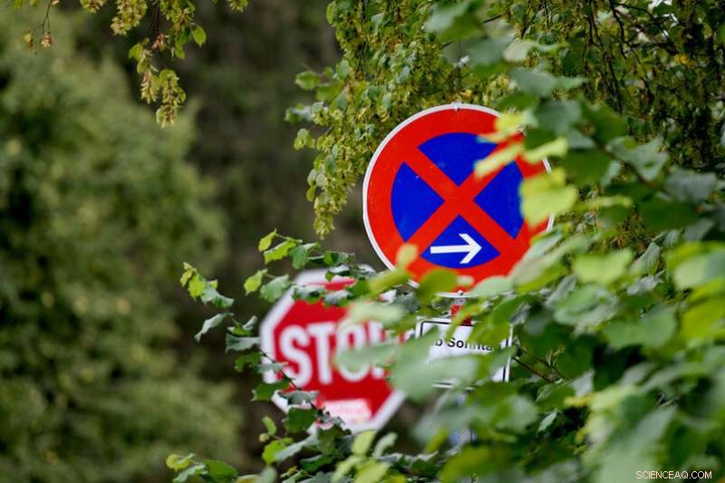 Training AI to Recognize Road Signs with Advanced Image Generation