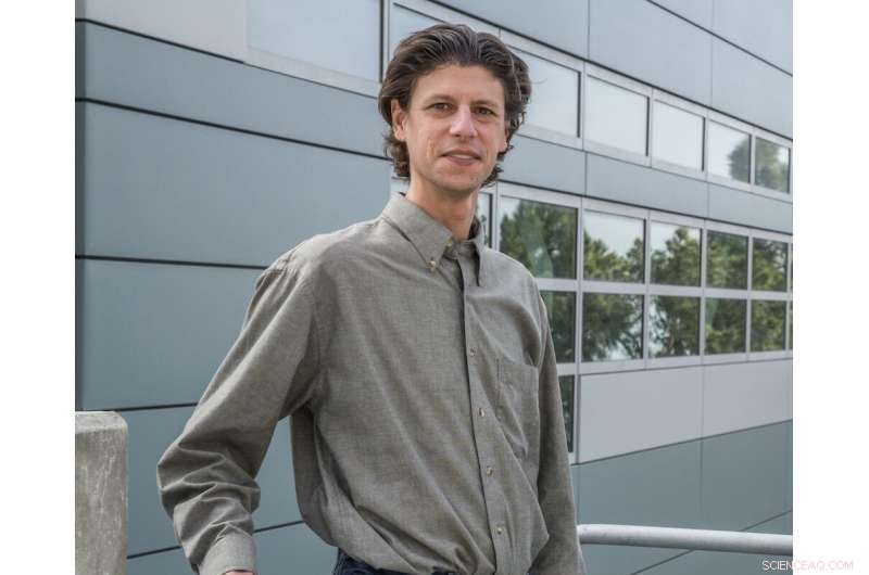 How Physics Safeguards the Electrical Grid