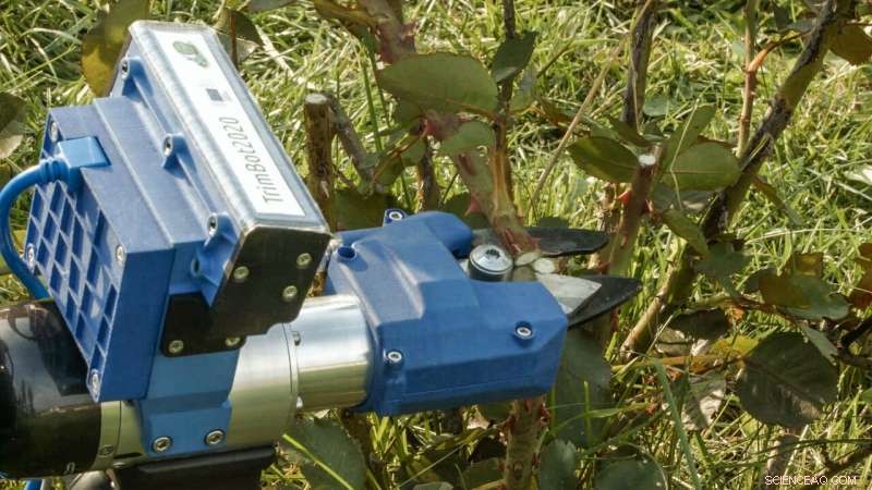 Advanced Gardening Robot Efficiently Prunes and Trims Plants