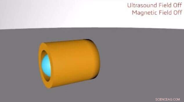 Ultrasound‑Powered Micromotors Navigate Cells and Particles for Targeted Biomedical Applications