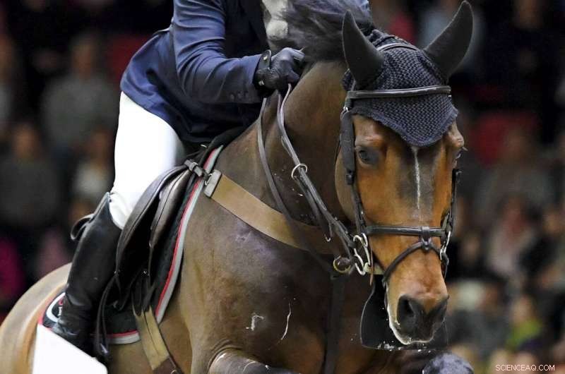 Sustainable Racing: How Finland’s Horse Show Runs on Manure