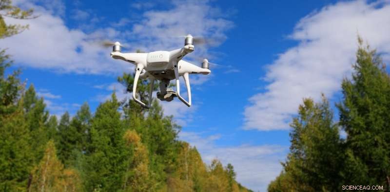Drone Technology Enhances Wildfire Monitoring, Wildlife Census, and Botanical Mapping