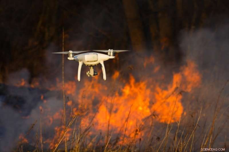 Drone Technology Enhances Wildfire Monitoring, Wildlife Census, and Botanical Mapping