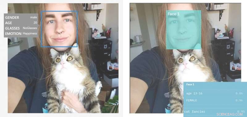 Facial Recognition Software Faces Gender Bias Issues