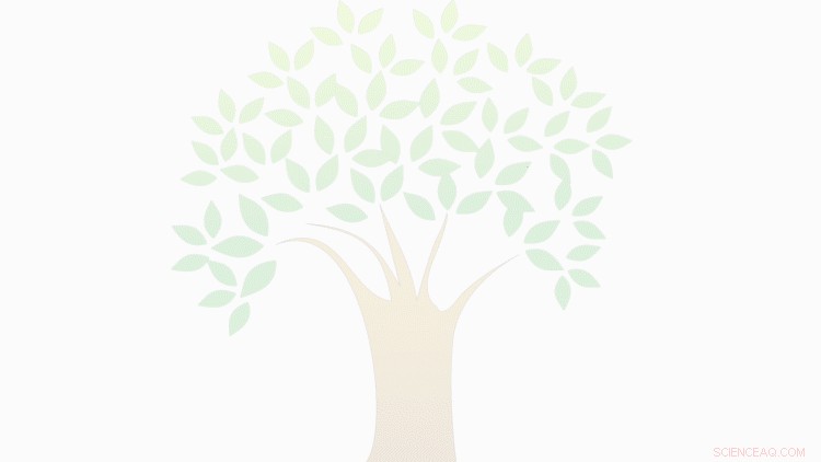 Popular Genealogy Platform Faces Data Breach Risks and Impersonation Threats