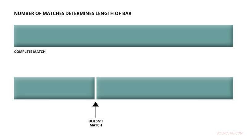 Popular Genealogy Platform Faces Data Breach Risks and Impersonation Threats