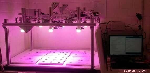 Predicting Plant Growth with Neural Networks: A Leap Toward Smarter Agriculture