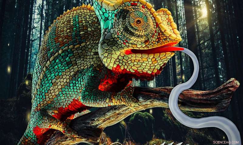 Fast-Acting Soft Robots Inspired by Chameleon Tongue Strike