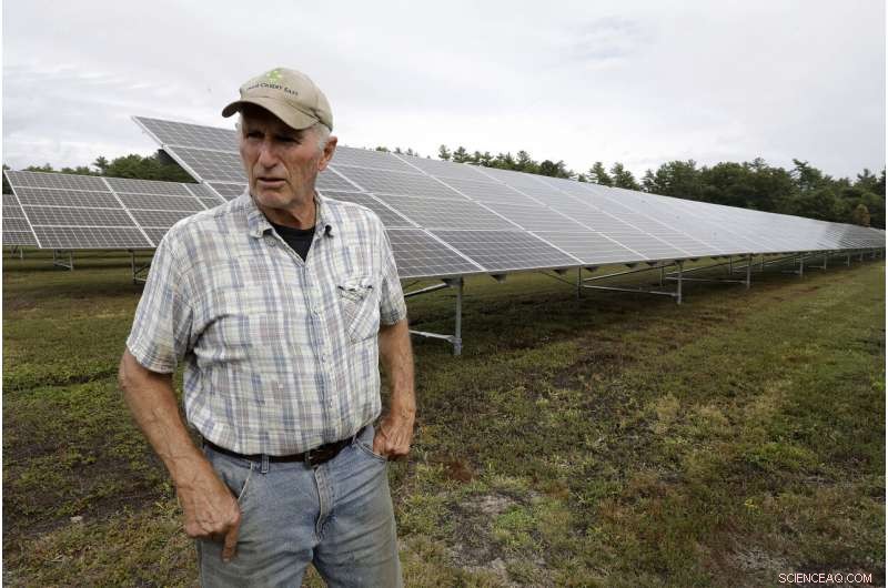 Cranberry Farmers Plan Solar Panel Installations Over Bogs to Diversify Income