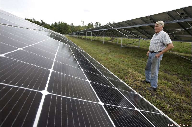 Cranberry Farmers Plan Solar Panel Installations Over Bogs to Diversify Income