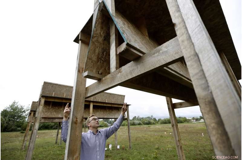 Cranberry Farmers Plan Solar Panel Installations Over Bogs to Diversify Income