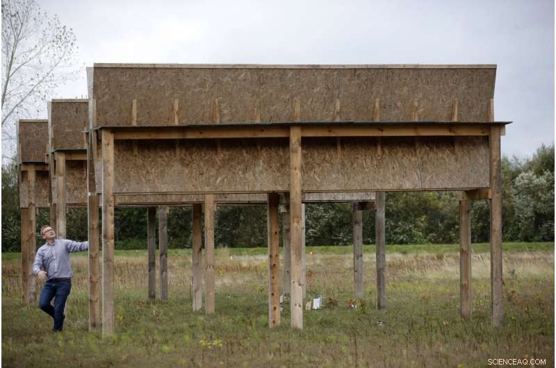 Cranberry Farmers Plan Solar Panel Installations Over Bogs to Diversify Income