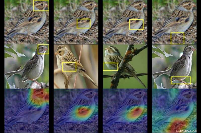 AI Birdwatcher Reveals Species from a Single Photo Using Machine Vision