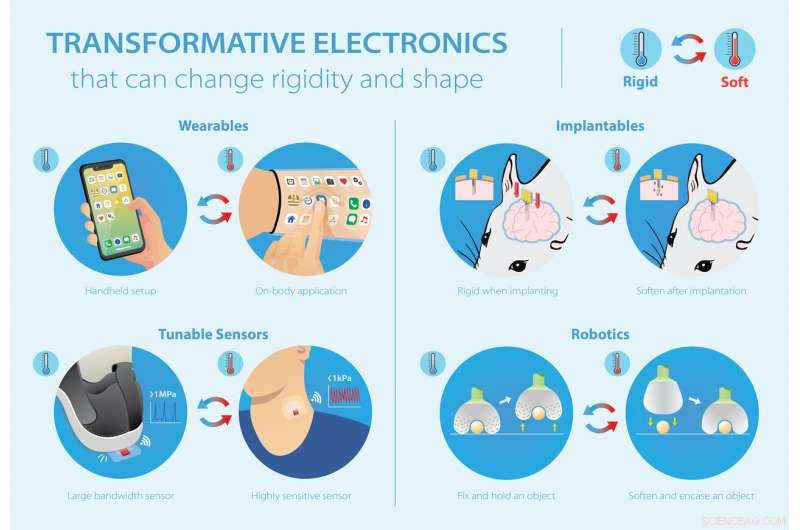 Revolutionizing Wearables: Flexible Electronics for Everyday Use